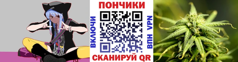 Где купить Иннополис Героин  mega tor  Codein  Гашиш  МЕФ  Канабис  COCAIN  Alpha PVP 