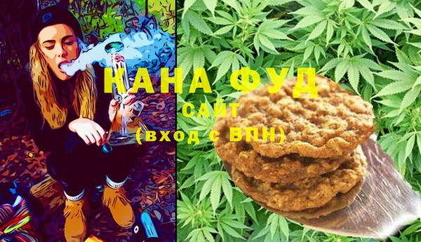 метадон Инта