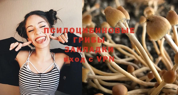 меф Каменск-Шахтинский