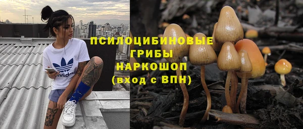 МДПВ Иннополис