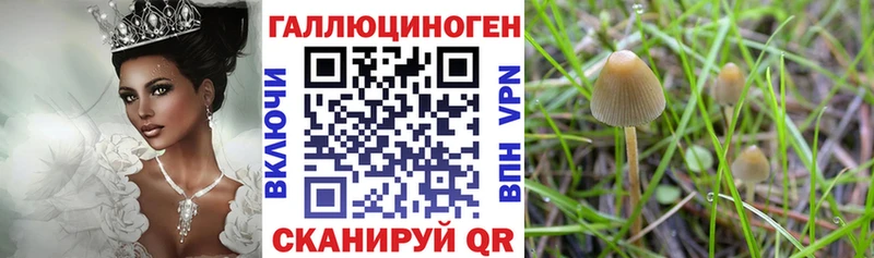 Галлюциногенные грибы MAGIC MUSHROOMS  Иннополис 